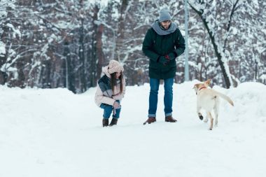 Genç çift köpek kış Park ile birlikte eğleniyor