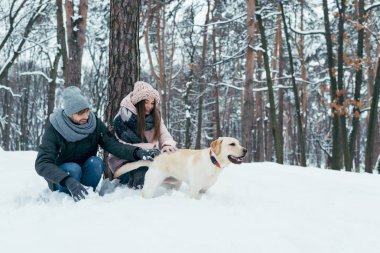 Genç çift köpek kış Park ile birlikte eğleniyor