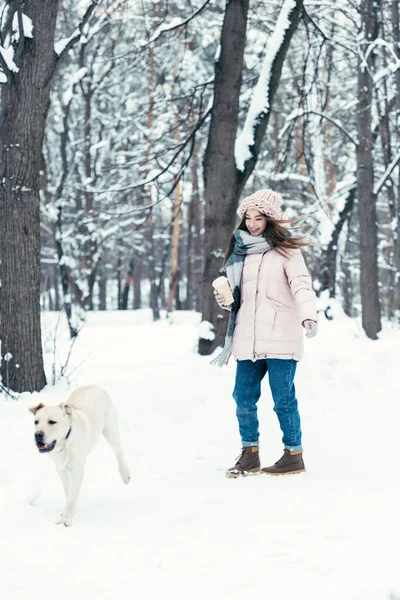 Glad Ung Kvinna Med Labrador Hund Vinterparken — Stockfoto