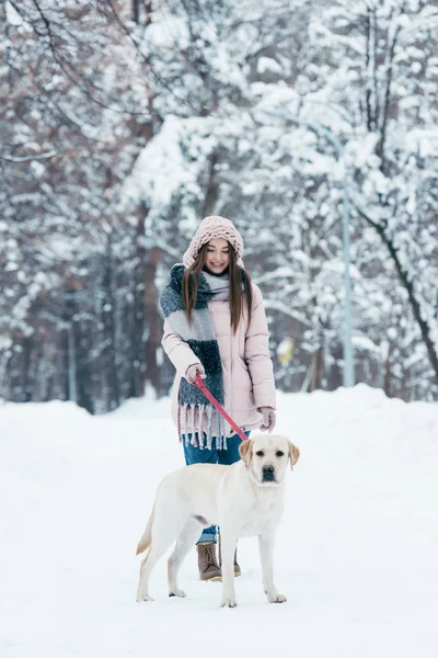 Ung Kvinna Med Labrador Hund Vinterparken — Stockfoto