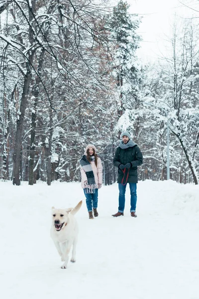 Jovem Casal Com Cão Andando Inverno Parque Nevado — Fotografia de Stock