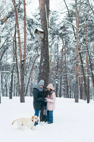 young couple with dog walking in winter snowy park