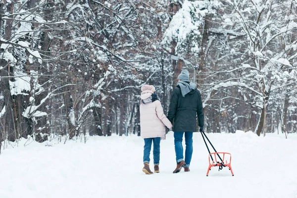 Back View Couple Sledge Holding Hands While Walking Snowy Park — Stock Photo, Image