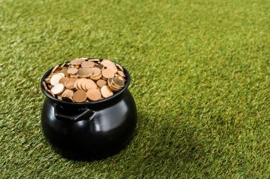 pot daimi yeşil çimenlerin üzerinde altın sikke