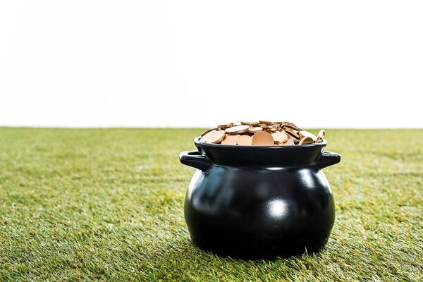 golden coins in pot standing on green grass, isolated on white