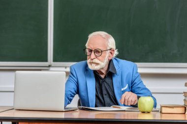 gri saç Profesör konferans salonunda masada dizüstü bilgisayar kullanarak
