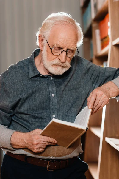 Grått Hår Bibliotekarie Läsebok — Stockfoto