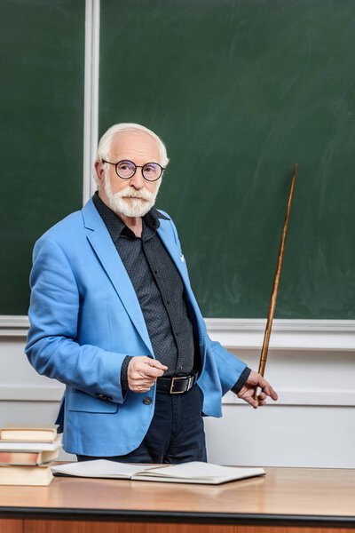 grey hair professor pointing on something at blackboard with wooden pointer