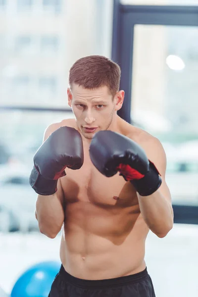 shirtless muscular sportsman boxing in gym