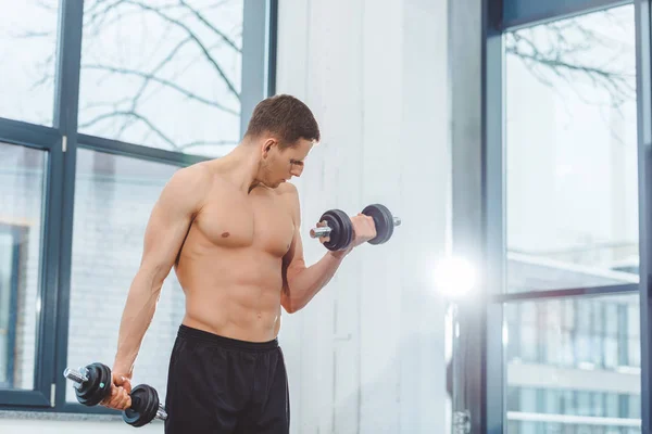 Musculoso Sem Camisa Desportista Formação Com Halteres Ginásio — Fotografia de Stock