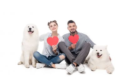 samoyed köpek ve kağıt kalpler beyaz, Sevgililer günü kavramı ile mutlu çift