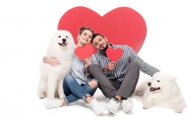 samoyed köpek ve kağıt kalpler beyaz, Sevgililer günü kavramı ile mutlu çift