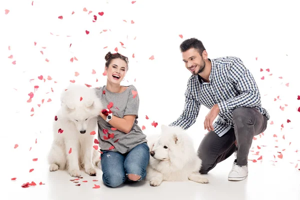 Casal Sentado Com Cães Sob Queda Confetti Branco Conceito Dia — Fotografia de Stock Grátis