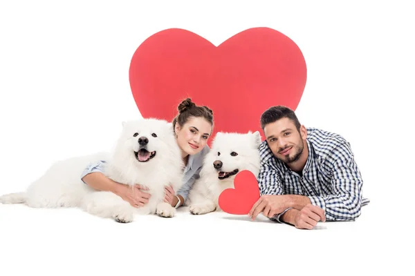 Пара Лежить Собаками Білому Концепція Дня Валентина — стокове фото