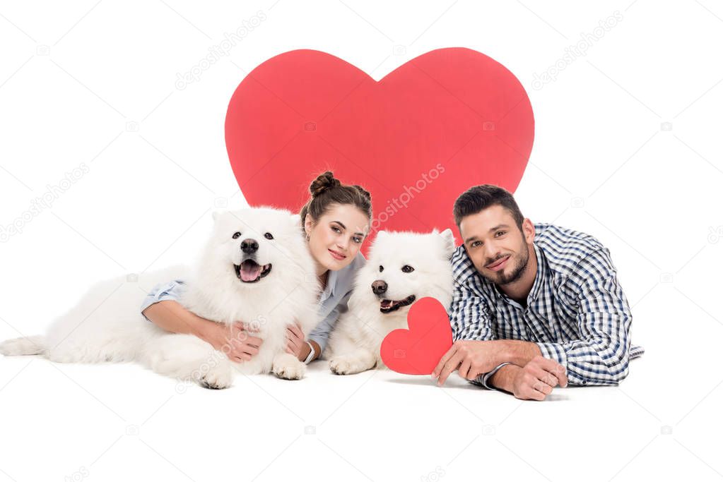 couple lying with dogs on white, valentines day concept