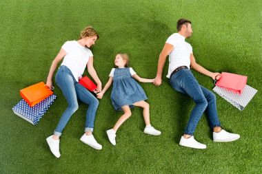 Aile ile alışveriş torbaları yeşil çimenlerin üzerinde birlikte elele gülümseyen havai görünümü