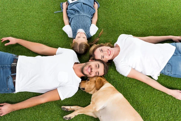 Vista Aérea Familia Feliz Con Perro Acostado Césped Verde Juntos —  Fotos de Stock