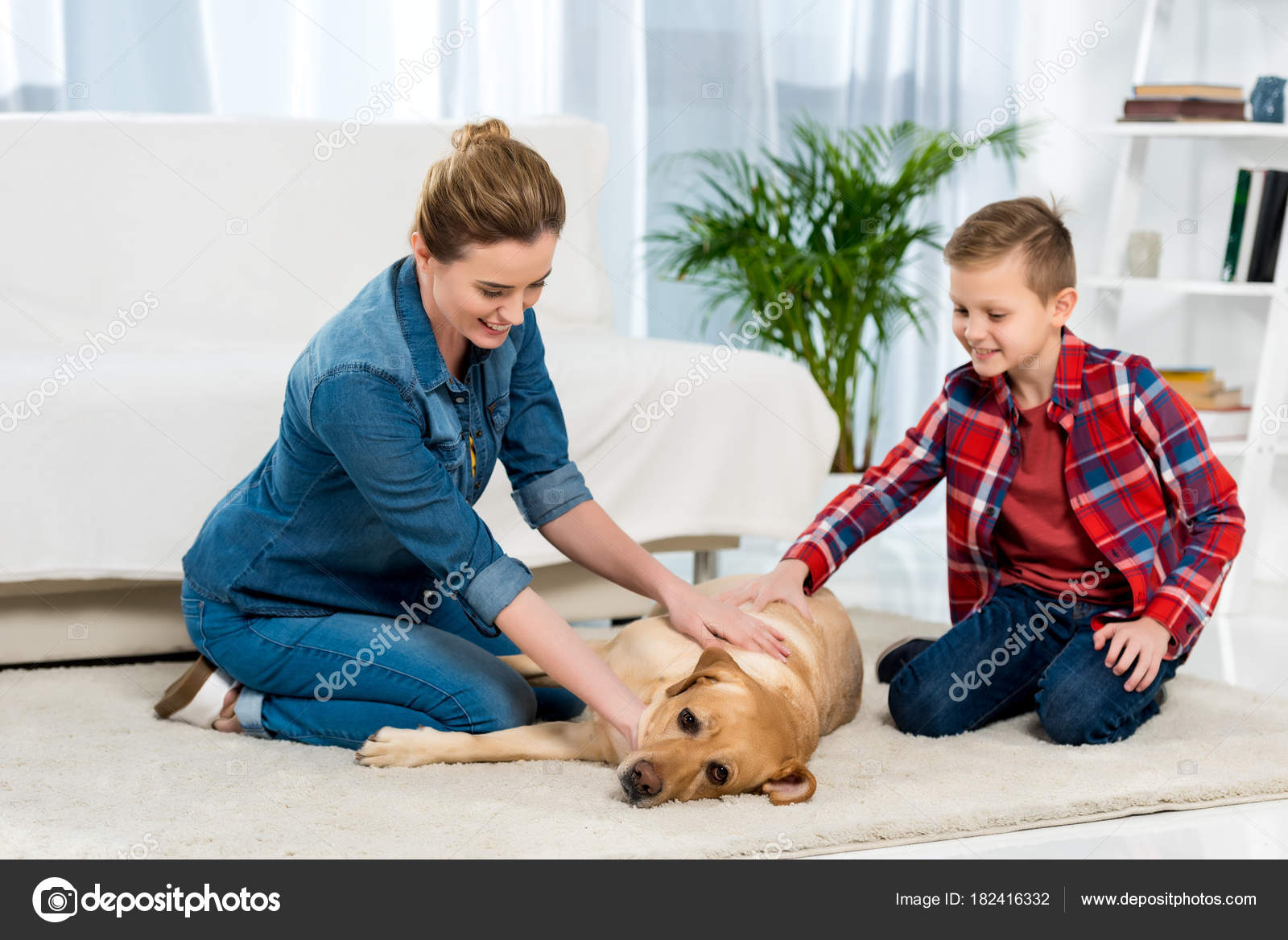 Can Mom And Son Dogs Have Puppies