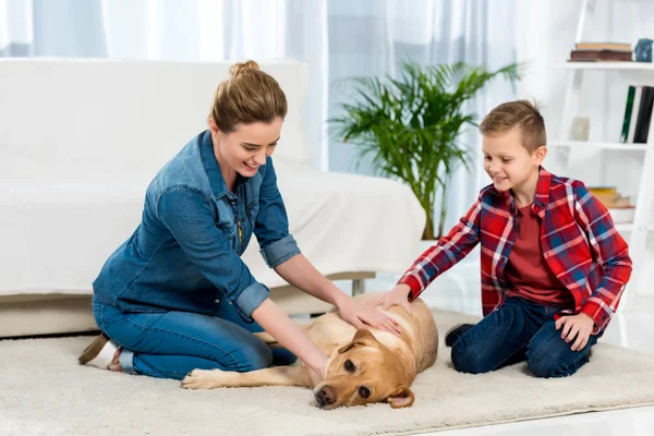Мати Син Стукають Свого Собаку Коли Він Лежить Підлозі Вітальні — стокове фото