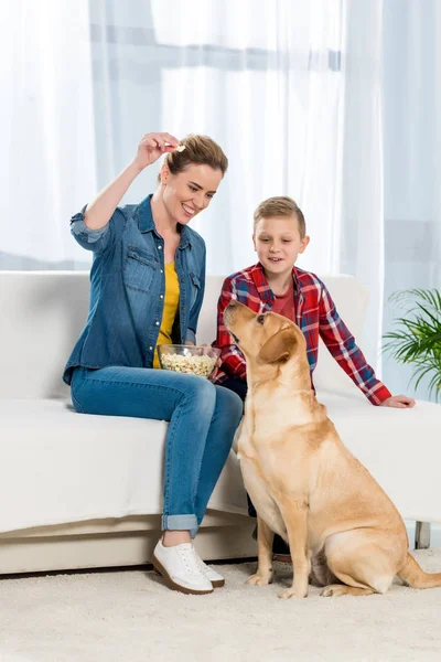 Glückliche Mutter Und Sohn Füttern Ihren Hund Mit Popcorn — Stockfoto