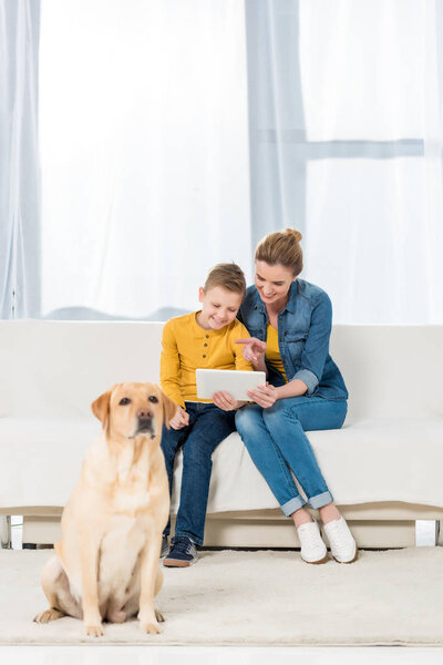 mother and son using tablet together with adorable labrador dog sitting on floor on foreground