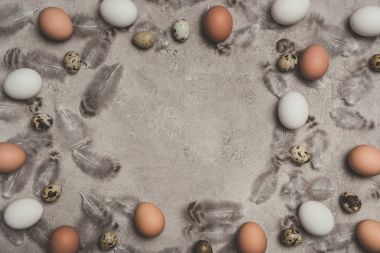 eşarplı beton yüzeyindeki çerçeve tavuk ve Bıldırcın yumurta