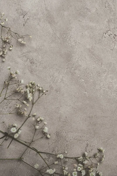 Vue Dessus Des Fleurs Blanches Sur Surface Béton Avec Espace — Photo