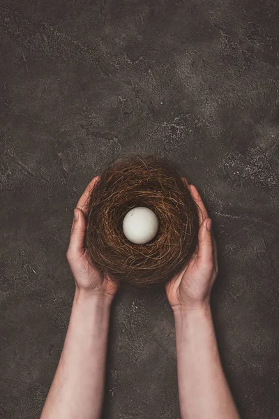 Cropped View Man Holding Nest White Egg — Stock Photo, Image