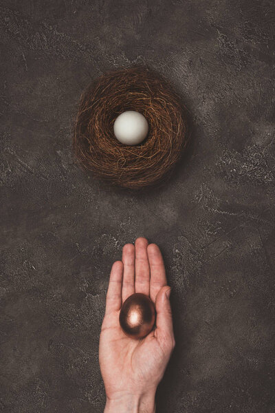 cropped view of man holding golden egg in hand, white egg in nest near 