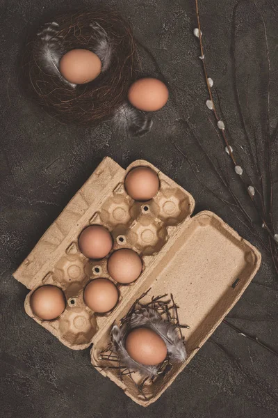 Ansicht Von Hühnereiern Pappschale Und Nest Mit Weidenzweigen Und Federn — Stockfoto