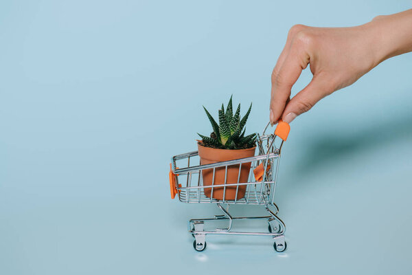 cropped shot of human hand holding small shopping cart with green aloe plant on grey