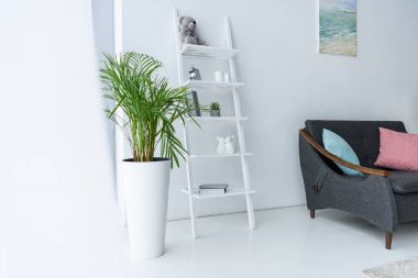 karanlık kanepe, raflar ve yeşil bitki saksı içinde oturma odası görünümünü