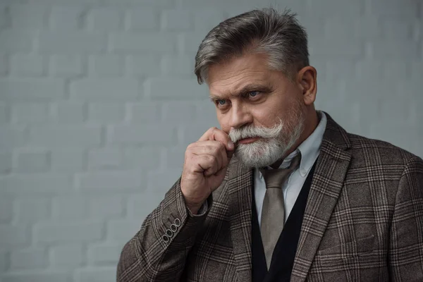 スタイリッシュな年配の男性の髭のツイード スーツ — ストック写真