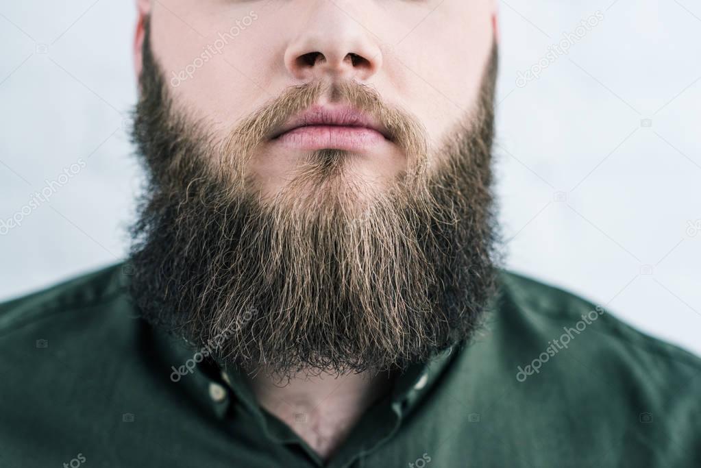 cropped shot of bearded man in shirt against white brick wall