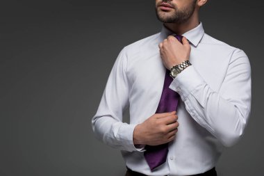 Görüntü gri izole Grey izole kravat düzeltme işadamı kırpılmış