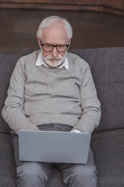 Bello Uomo Capelli Grigi Seduto Sul Divano Utilizzando Computer Portatile — Foto stock gratuita