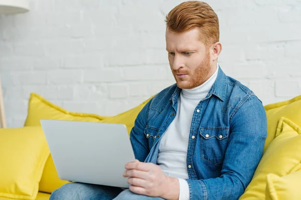 Businessman Looking Laptop Screen While Sitting Sofa — Free Stock Photo