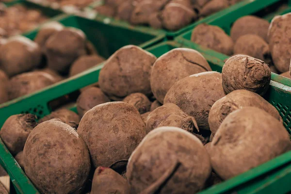 Beets in kruidenier — Stockfoto