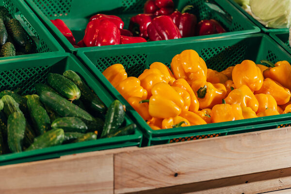 close up view of arranged fresh vegetables in grocery shop