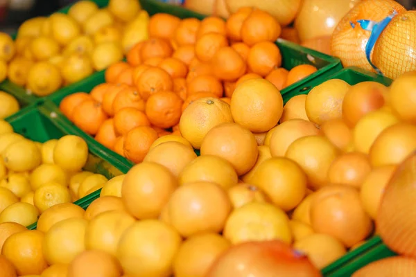 食料品店で整理された柑橘系の果物のクローズ アップ表示 — ストック写真
