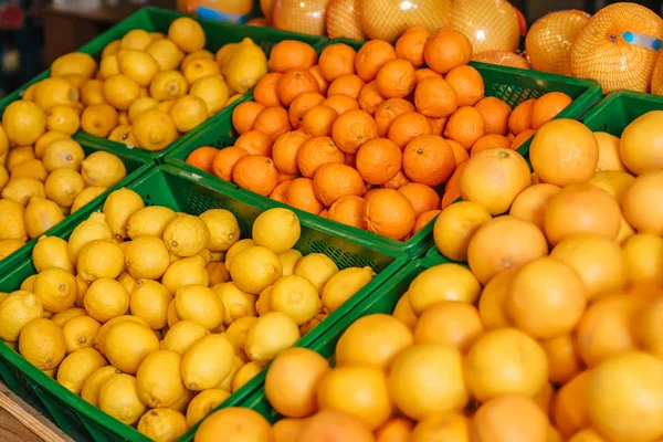 Close View Arranged Citrus Fruit Grocery Shop — Stok Foto