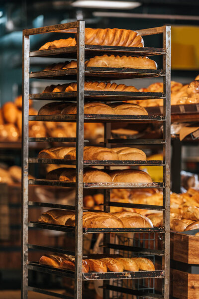 close up view of freshly baked bakery in hypermarket