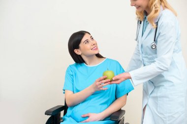 cropped shot of obstetrician gynecologist giving green apple to smiling pregnant woman on wheelchair clipart