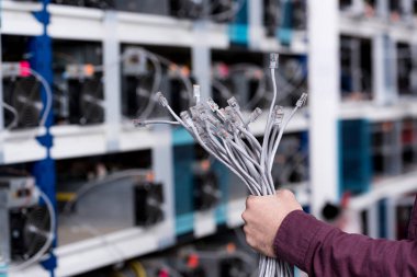 cropped shot of computer engineer holding ethernet wires at cryptocurrency mining farm clipart