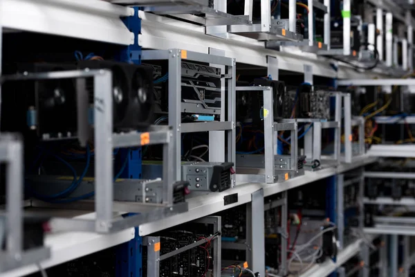 Close Shot Graphic Cards Cryptocurrency Mining Farm — Stock Photo, Image