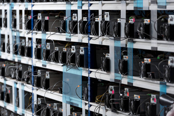 shelves with equipment for bitcoin mining farm