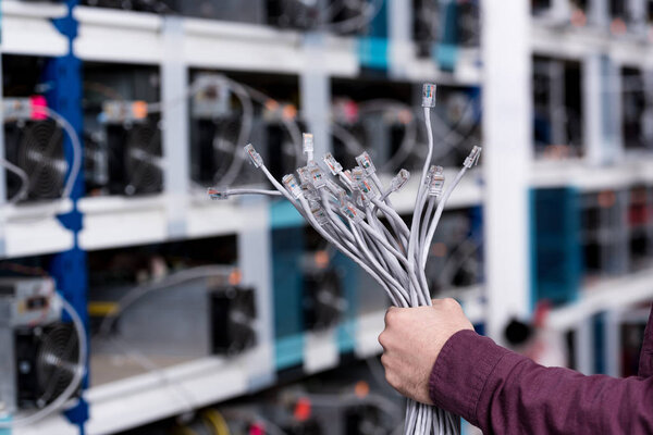 cropped shot of computer engineer holding ethernet wires at cryptocurrency mining farm