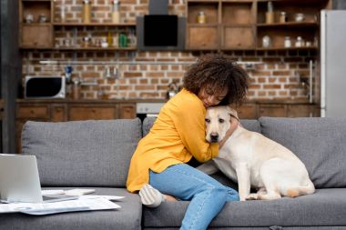 evde çalışan ve köpeğiyle sarılma güzel genç kadın