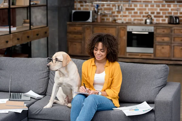眼鏡の横に座って彼女の犬ながらソファの上在宅勤務若いアフリカ系アメリカ人女性 — ストック写真
