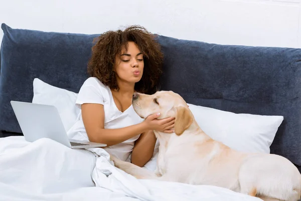 Schöne Junge Frau Mit Laptop Bett Die Mit Hund Spielt — Stockfoto